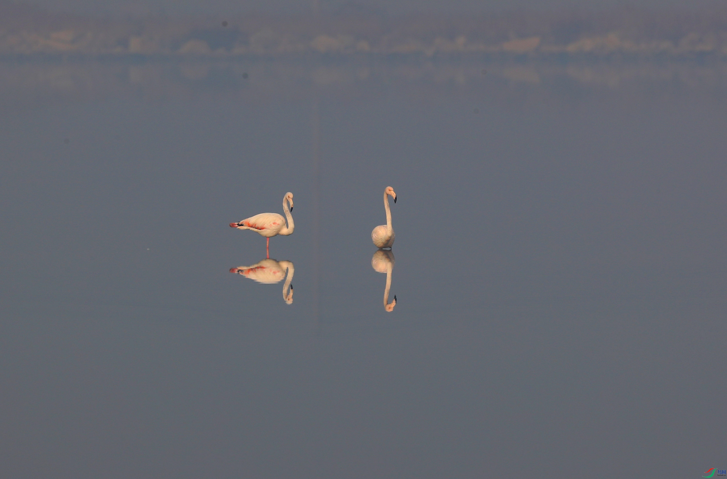 D38I3910 - ����.jpg