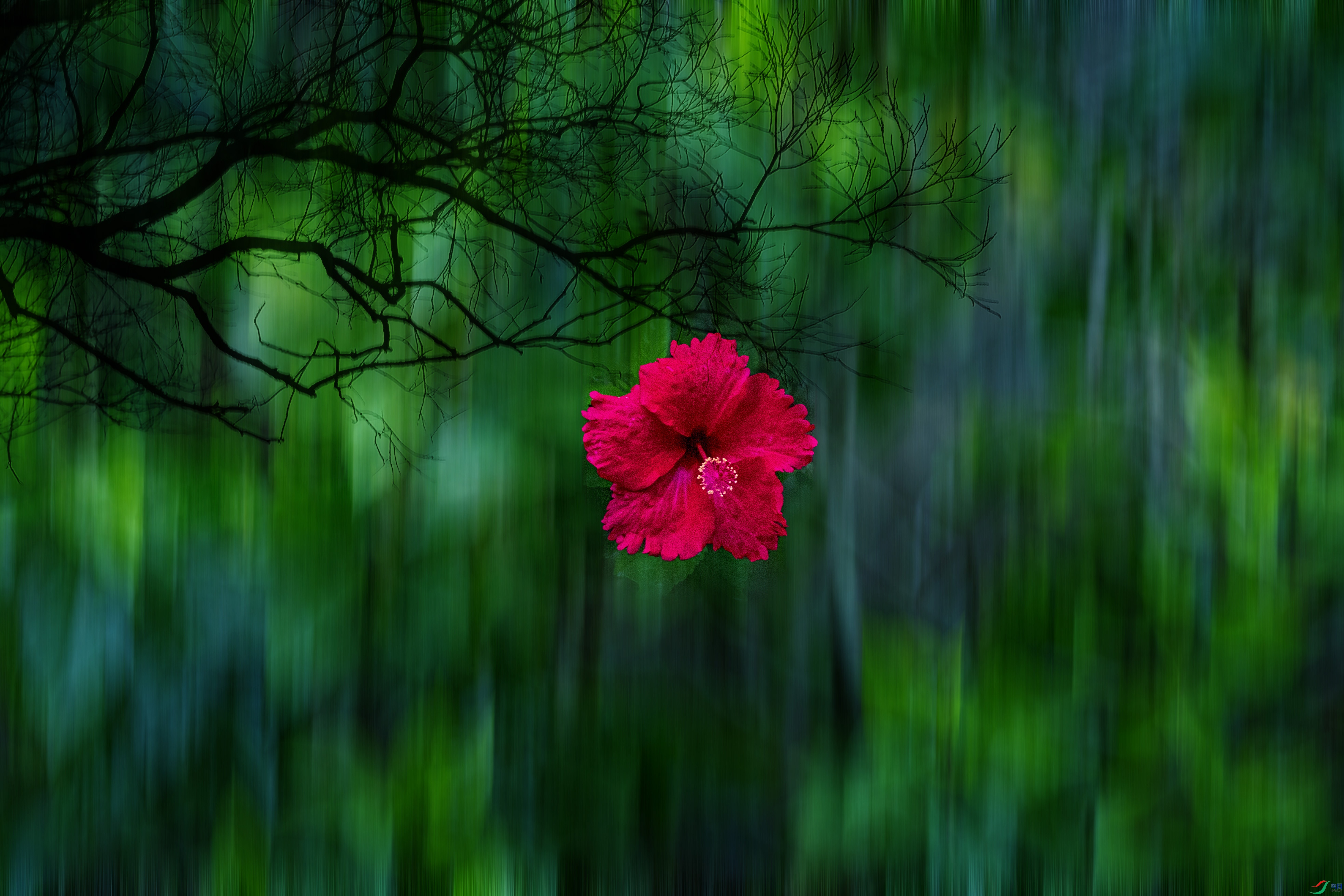 ����һ��С�컨