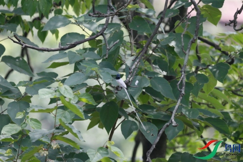 DPP_204.JPG