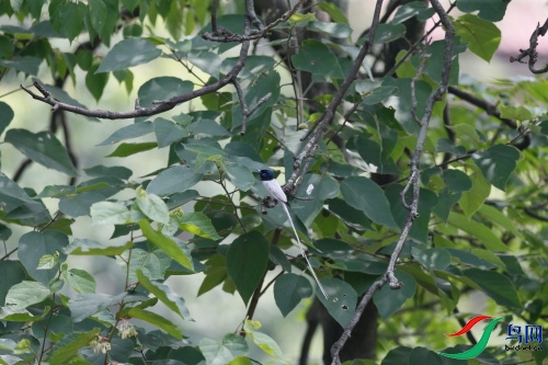 DPP_220.JPG