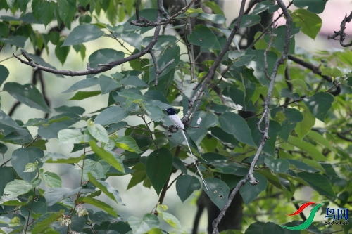 DPP_222.JPG