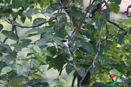 DPP_224.JPG
