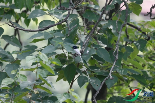 DPP_228.JPG