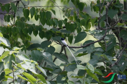 DPP_246.JPG