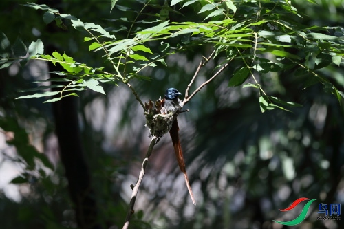 DPP_1011.JPG