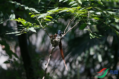 DPP_1012.JPG