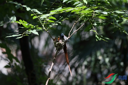 DPP_1009.JPG