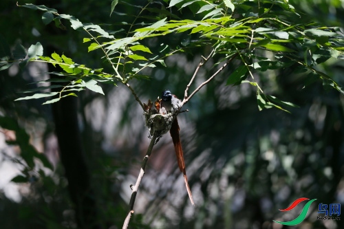DPP_1010.JPG