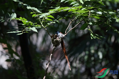 DPP_1031.JPG