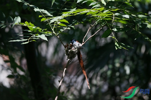 DPP_1032.JPG