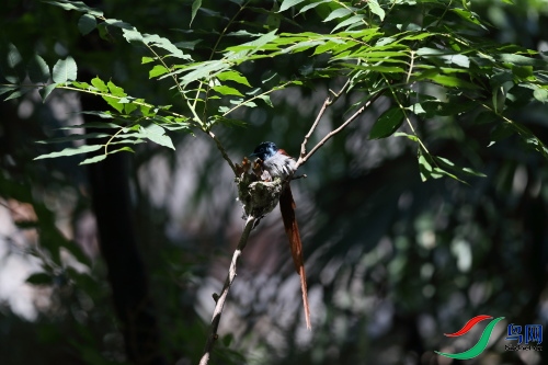 DPP_1027.JPG