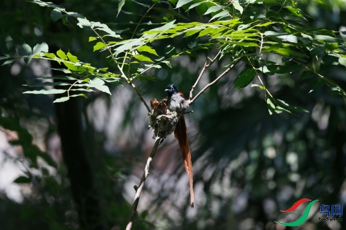 DPP_1038.JPG