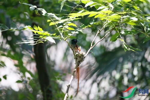 DPP_1044.JPG