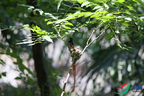 DPP_1047.JPG