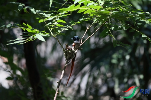DPP_1063.JPG