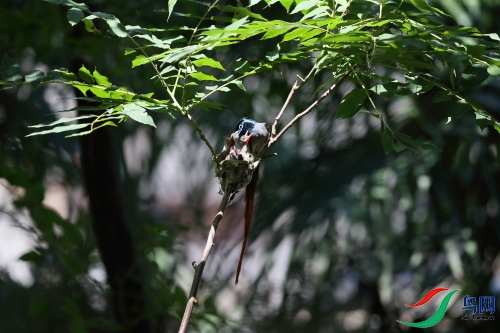 DPP_1061.JPG