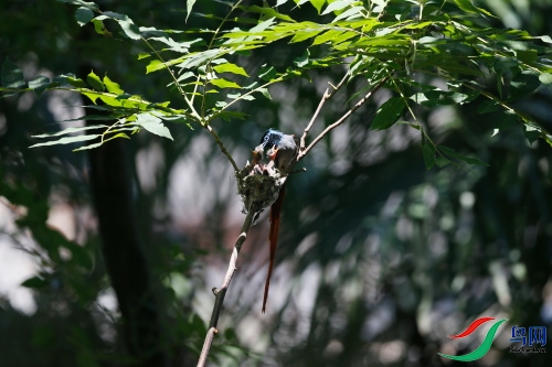 DPP_1060.JPG