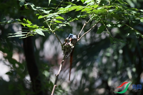 DPP_1057.JPG