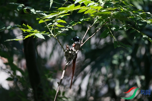 DPP_1070.JPG