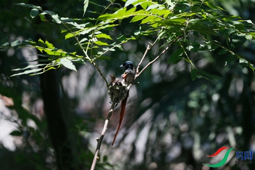 DPP_1064.JPG