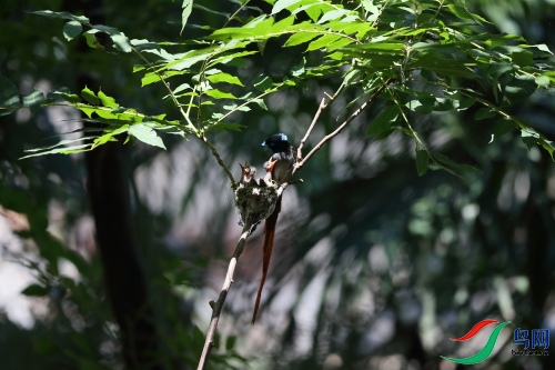 DPP_1067.JPG