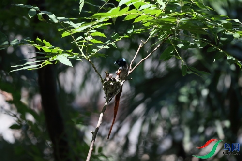 DPP_1065.JPG