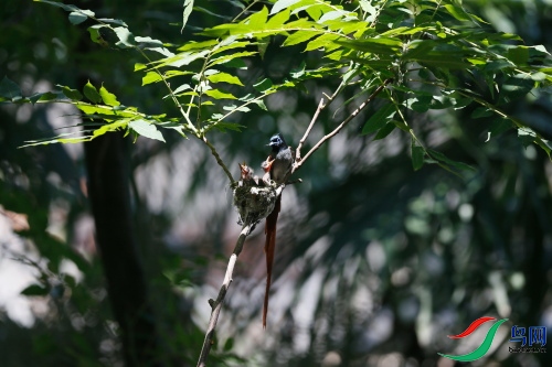 DPP_1076.JPG