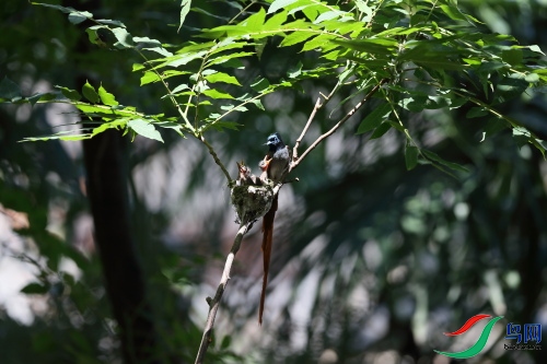 DPP_1073.JPG