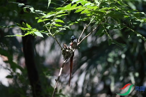DPP_1071.JPG