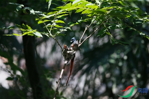 DPP_1080.JPG