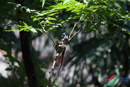 DPP_1079.JPG