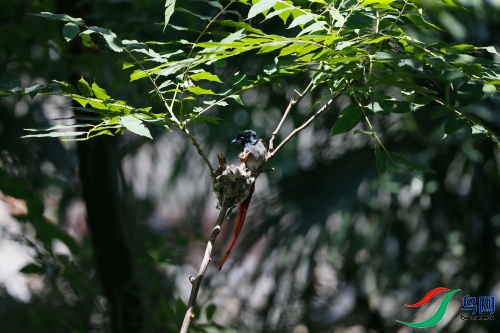 DPP_1090.JPG