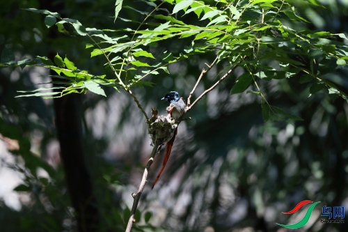 DPP_1091.JPG