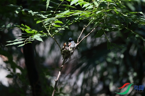 DPP_1099.JPG