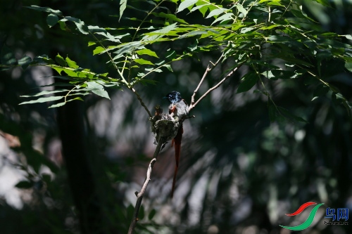 DPP_1106.JPG