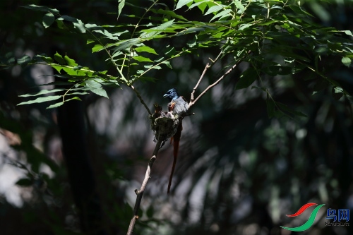 DPP_1111.JPG