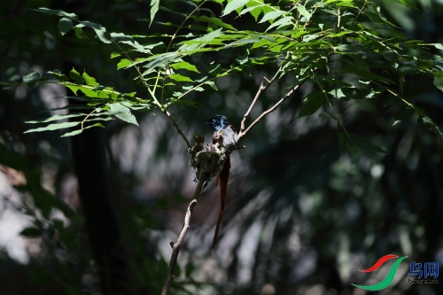 DPP_1107.JPG