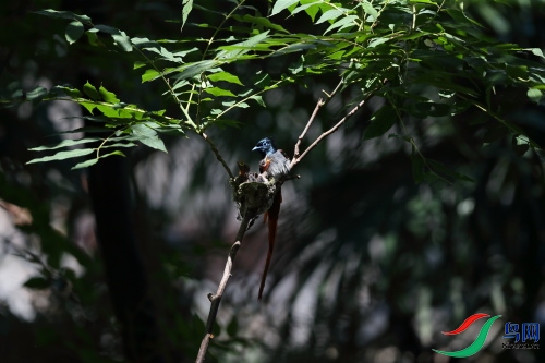 DPP_1113.JPG