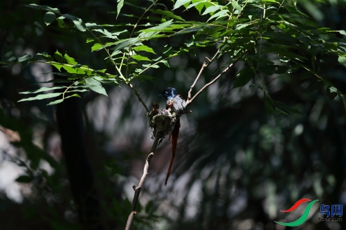 DPP_1115.JPG