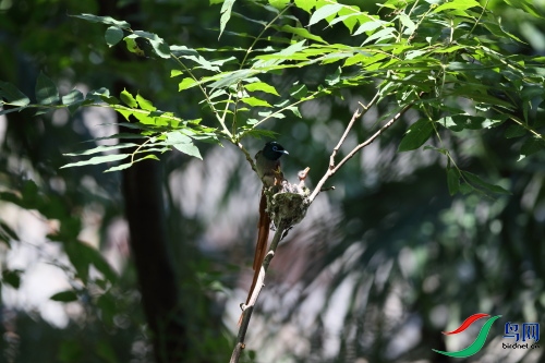 DPP_1123.JPG