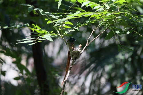 DPP_1127.JPG