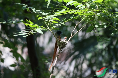 DPP_1129.JPG