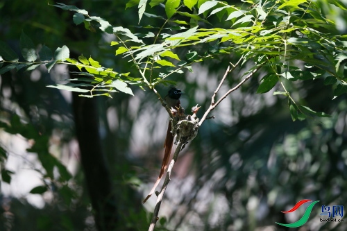 DPP_1136.JPG