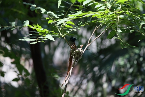 DPP_1139.JPG