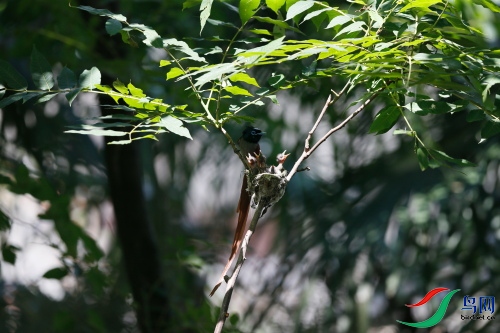 DPP_1138.JPG