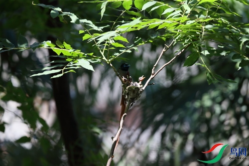 DPP_1145.JPG