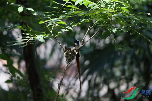 DPP_1153.JPG