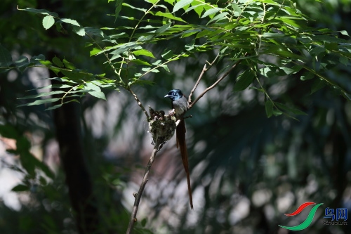 DPP_1165.JPG