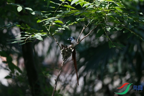 DPP_1170.JPG