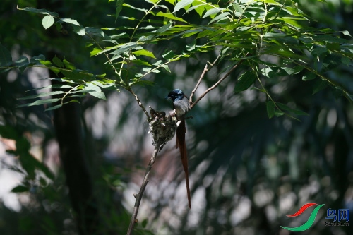 DPP_1176.JPG